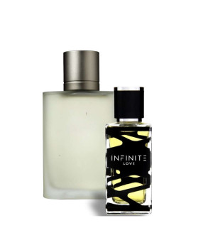 E14 - Inspired by ACQUA DI GIO, Armani