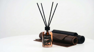 Raumduft / Reed-Diffusor, 110 ml – CAR SCENT